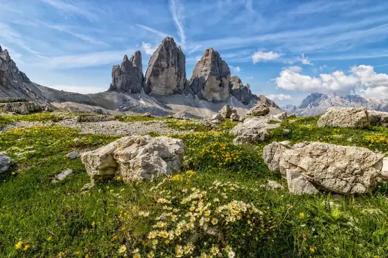 Tre Cime di Lavaredo w Misurina, skalne wieże nad łąką z kamieniami