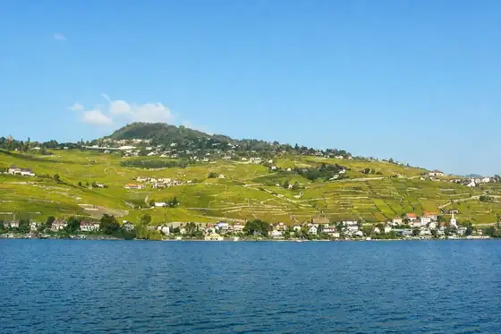 Winnice Lavaux na zboczu nad Jeziorem Genewskim, z domami przy brzegu