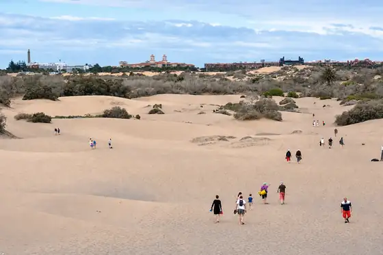 Wydmy Maspalomas w Maspalomas z piaszczystymi wydmami i spacerującymi ludźmi