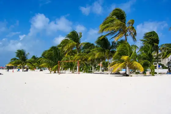 Wyspa Isla Mujeres w Meksyku z białą plażą i palmami przy brzegu