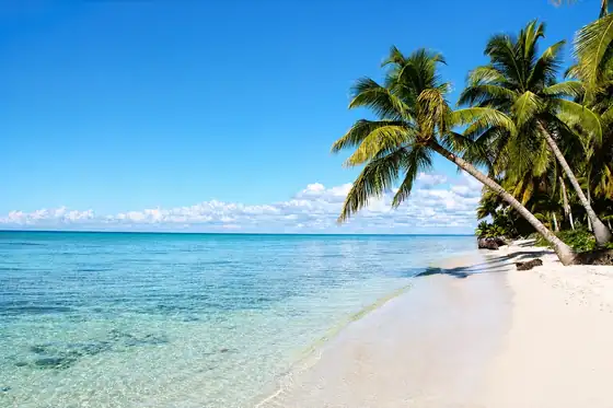 Wyspa Saona w regionie Punta Cana z palmami nad piaszczystą plażą i spokojnym morzem.