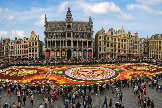 Grand-Place w Brukseli w Belgii z kwiatowym dywanem na placu i tłumem wokół.