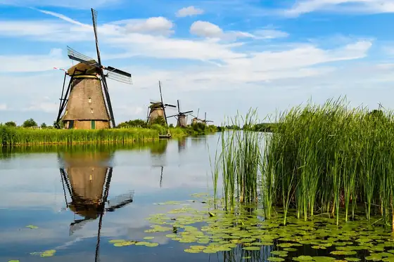 Wiatraki w Kinderdijk w Holandii nad kanałem z odbiciem w wodzie