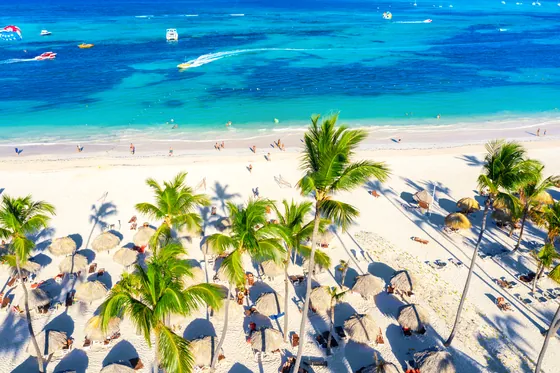 Plaża Bávaro w Punta Cana z palmami z lotu ptaka, Dominikana