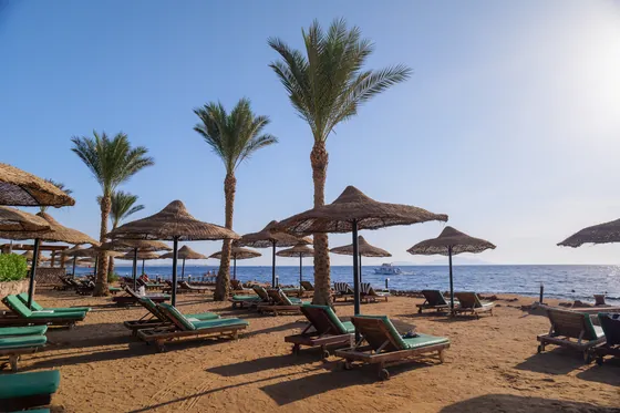 Leżaki i palmy na plaży nad Morzem Czerwonym, Egipt