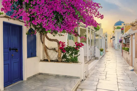 Uliczka w Oia z bugenwillą i niebieskimi drzwiami, Santorini