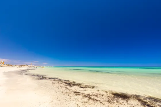 Piaszczysta plaża i lazurowe morze na Dżerbie, Tunezja