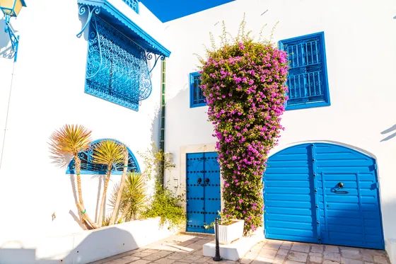Niebieskie drzwi i bugenwilla w Sidi Bou Said, Tunezja