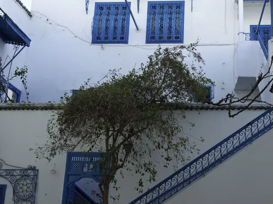 Biało-niebieska uliczka w Sidi Bou Said, Tunezja