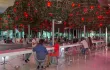 ADAM & EVE ADULTS ONLY/58